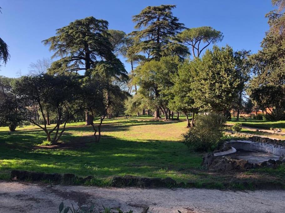 Quiet & Cosy Colosseum Rome Bagian luar foto